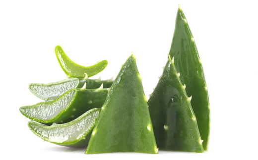 Aloe Vera.png