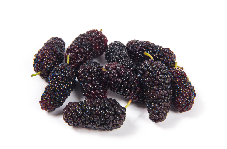 black mulberry fruit