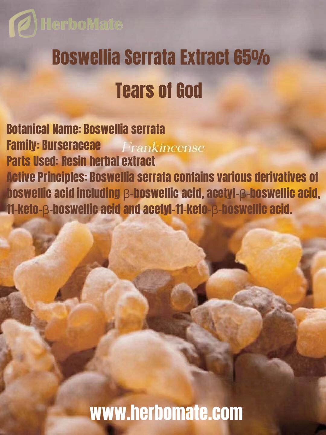 herbomate boswellia extract.jpg